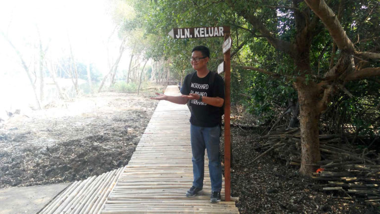 Mencari yang Hijau-Hijau di Taman Mangrove PIK, Jakarta