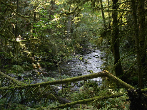 &#91;Fenomena Langka&#93;Kita Lihat Sungai Berwarna Hijau &quot;Goldstream&#039;s River&quot; di Kanada !!!!