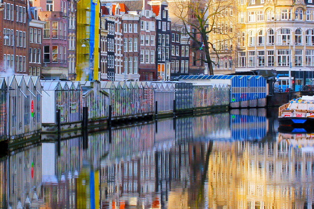 Indahnya Warna-Warni di Pasar Bunga Bloemenmarkt, Amsterdam