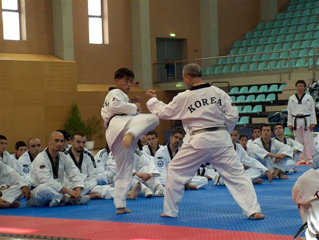 Taekwondo (태권도) WTF Thread