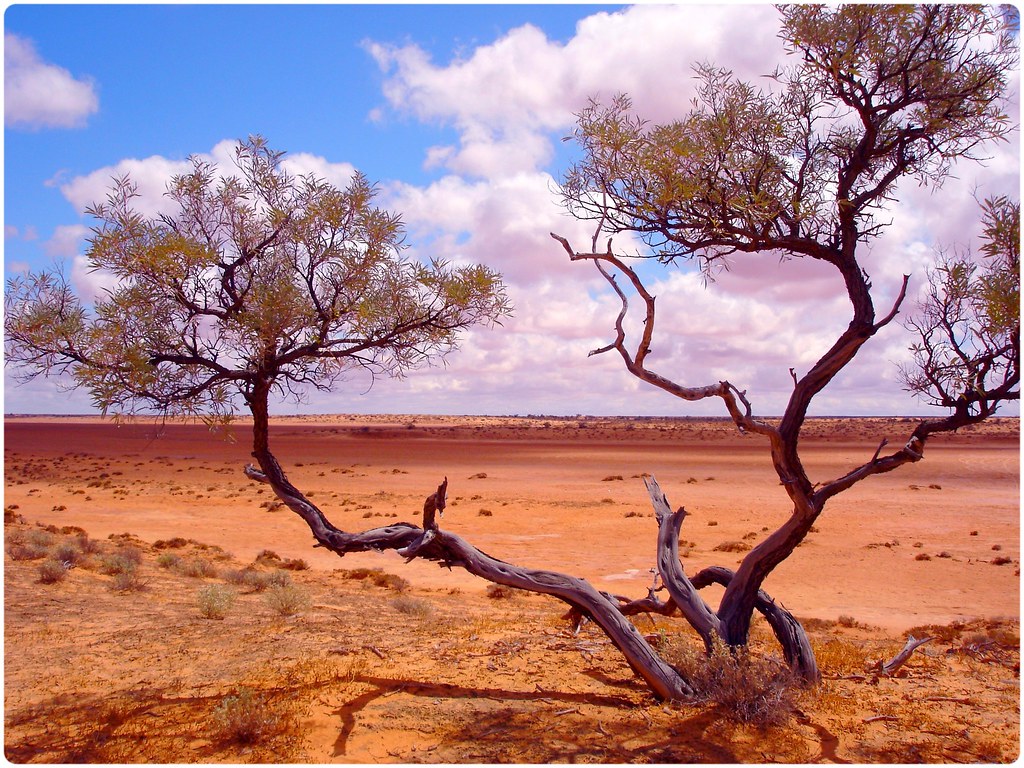 Butiran pasir merah Simpson Desert, Australia