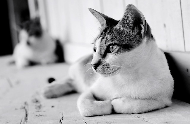 kavling-fujifilm---part-4