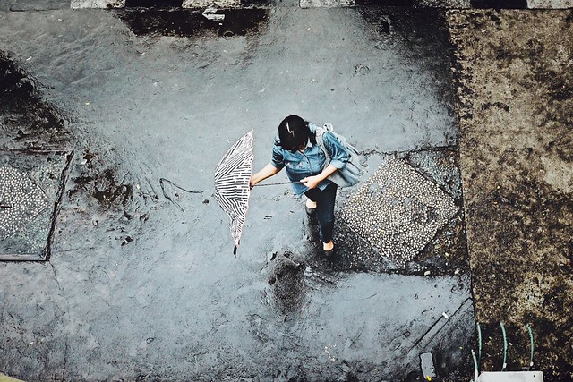 sf-photography-image--video-gallery-share-your-best-shot-here-read-1-post-first