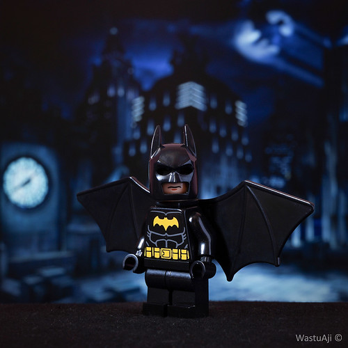 new-pendopo-sony-alpha