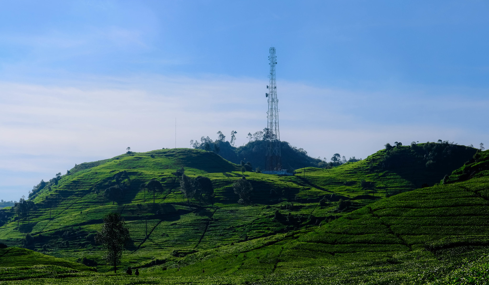 kavling-fujifilm-reborn---part-1