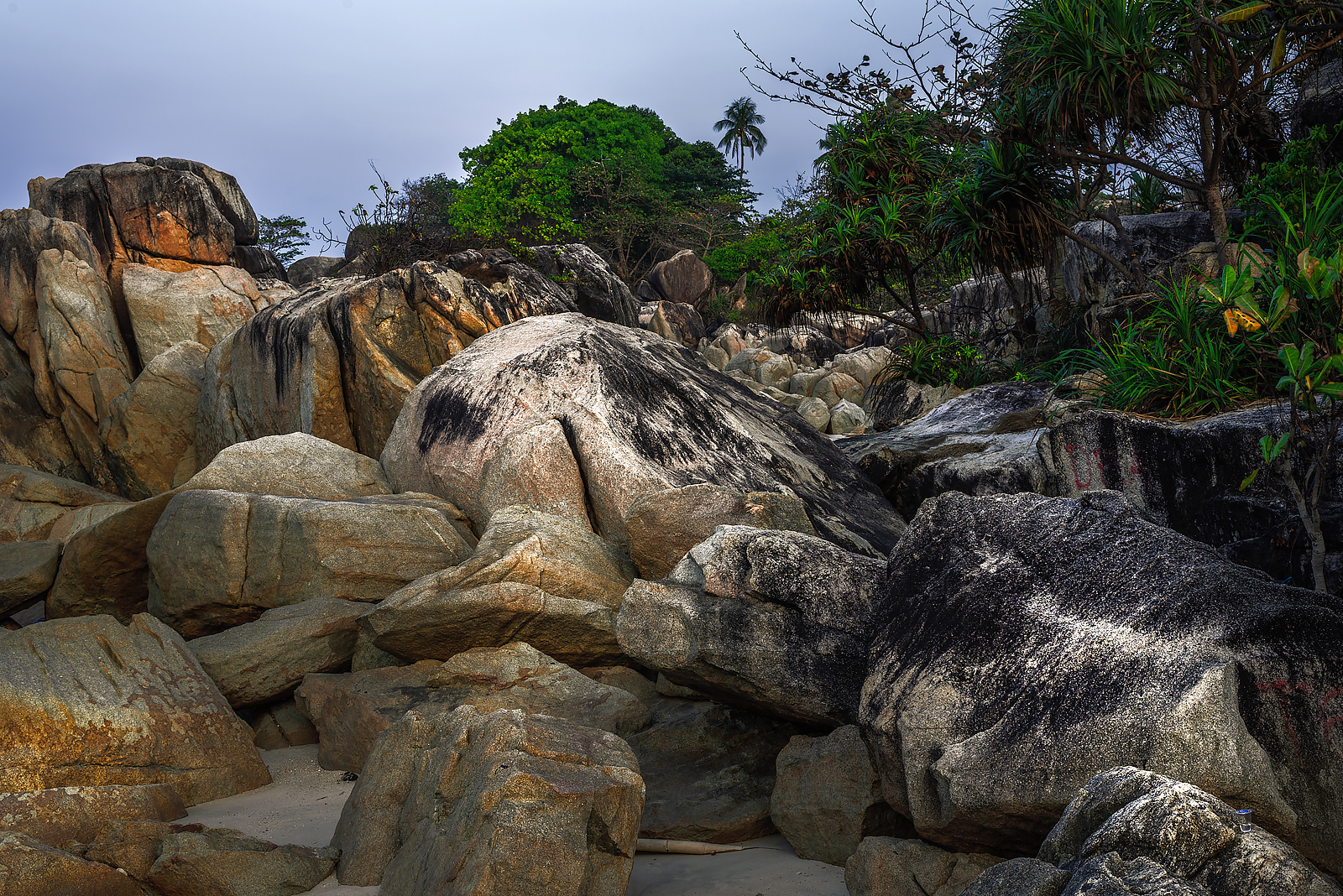 alun-alun-nikonian---part-14