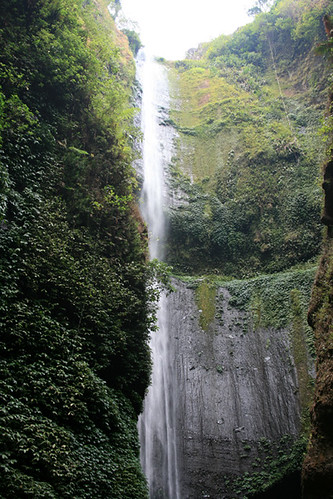 mahapatih-gajah-mada