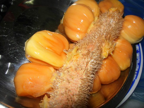 parkit-parkir-timor---part-12