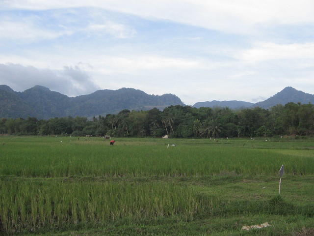 kaskus-image