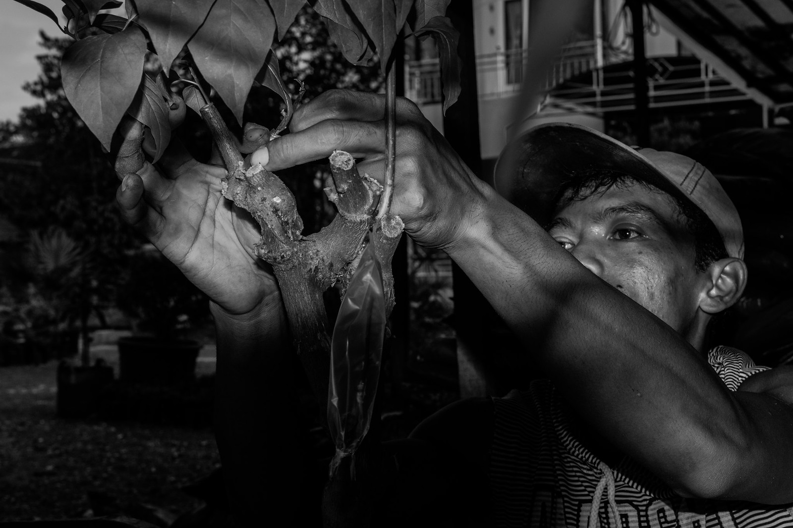 alun-alun-nikonian---part-13