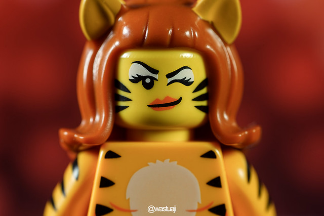 official-lego-thread---part-1