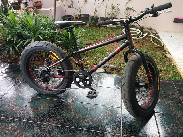 fatbike-cycle-galery