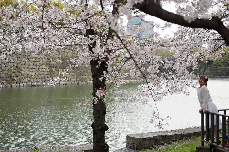 kavling-fujifilm-reborn