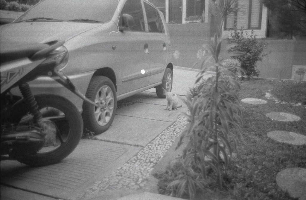 post-image