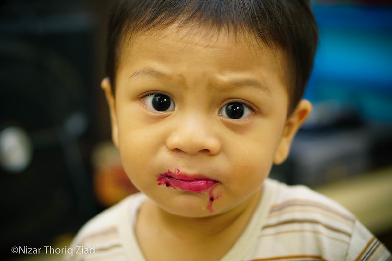 new-pendopo-sony-alpha---part-1