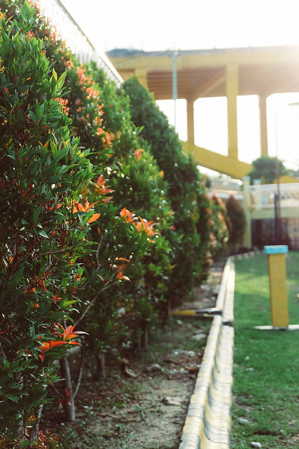 kavling-fujifilm-reborn---part-1