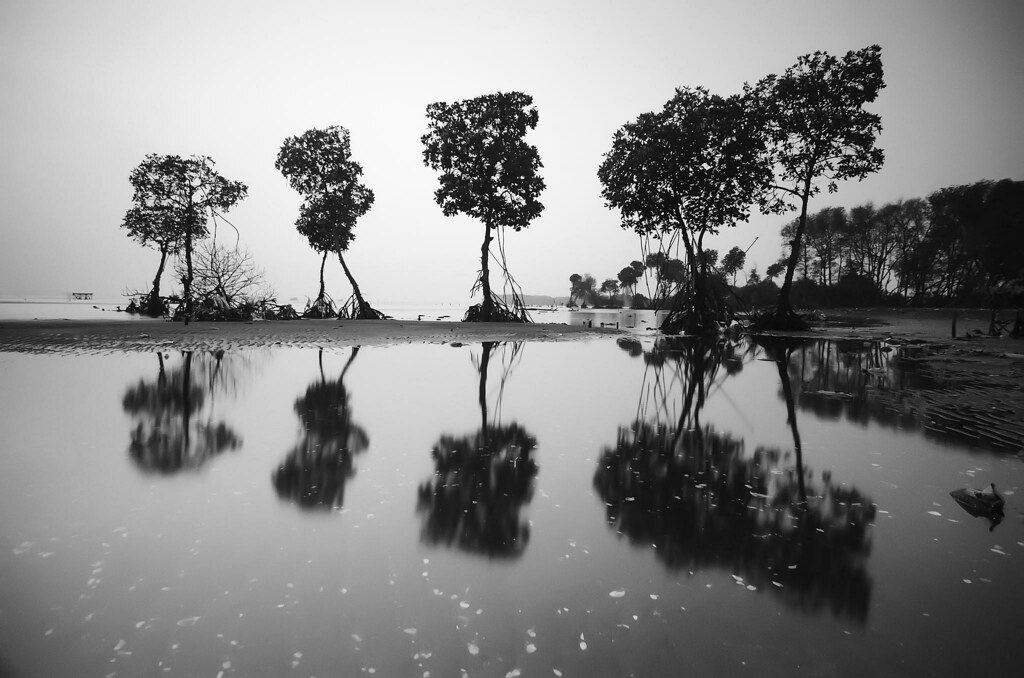 alun-alun-nikonian---part-14