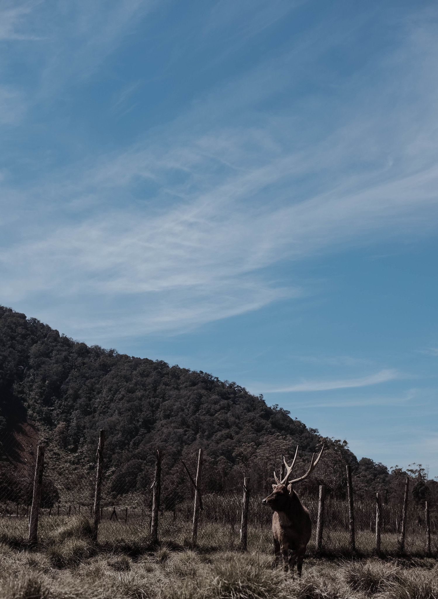 lounge-forum-fotografi-ver-204---part-3