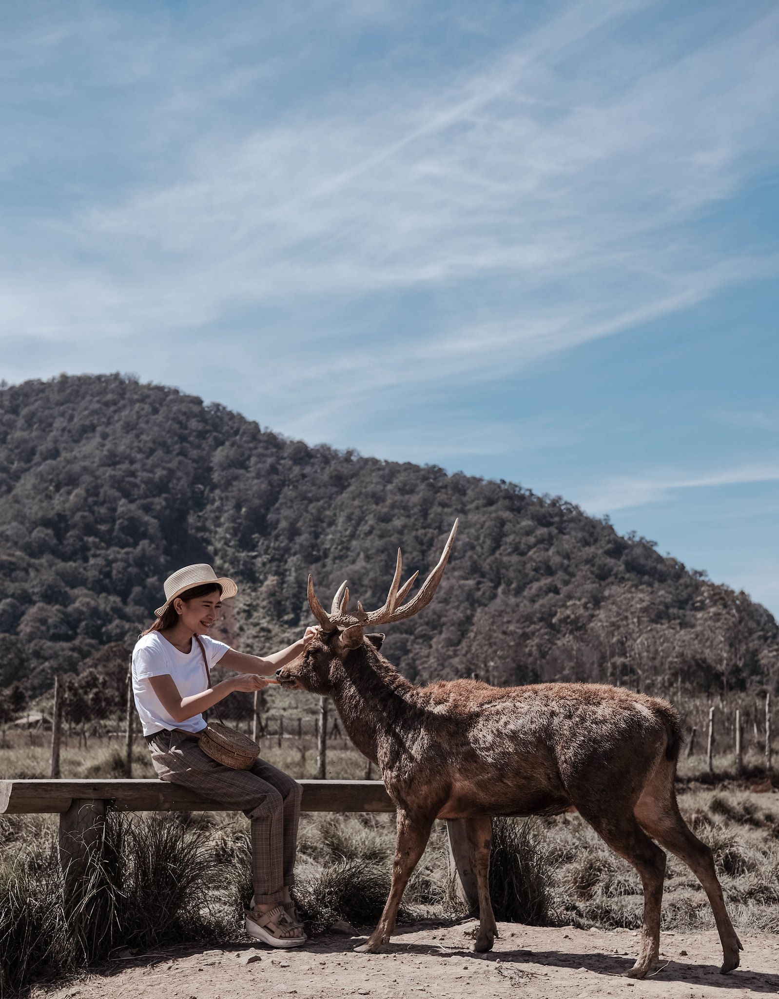 kavling-fujifilm-reborn---part-1