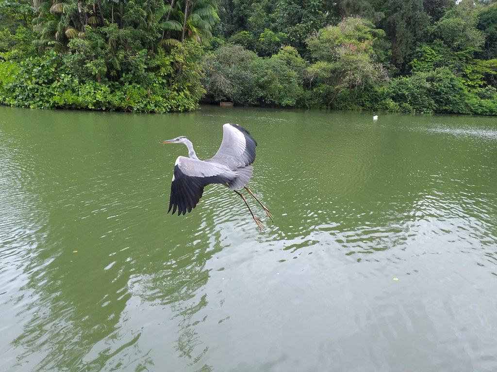 &#91; Review &#93; Samsung Galaxy A6+: Layar Memuaskan, Kamera Oke di Kelasnya