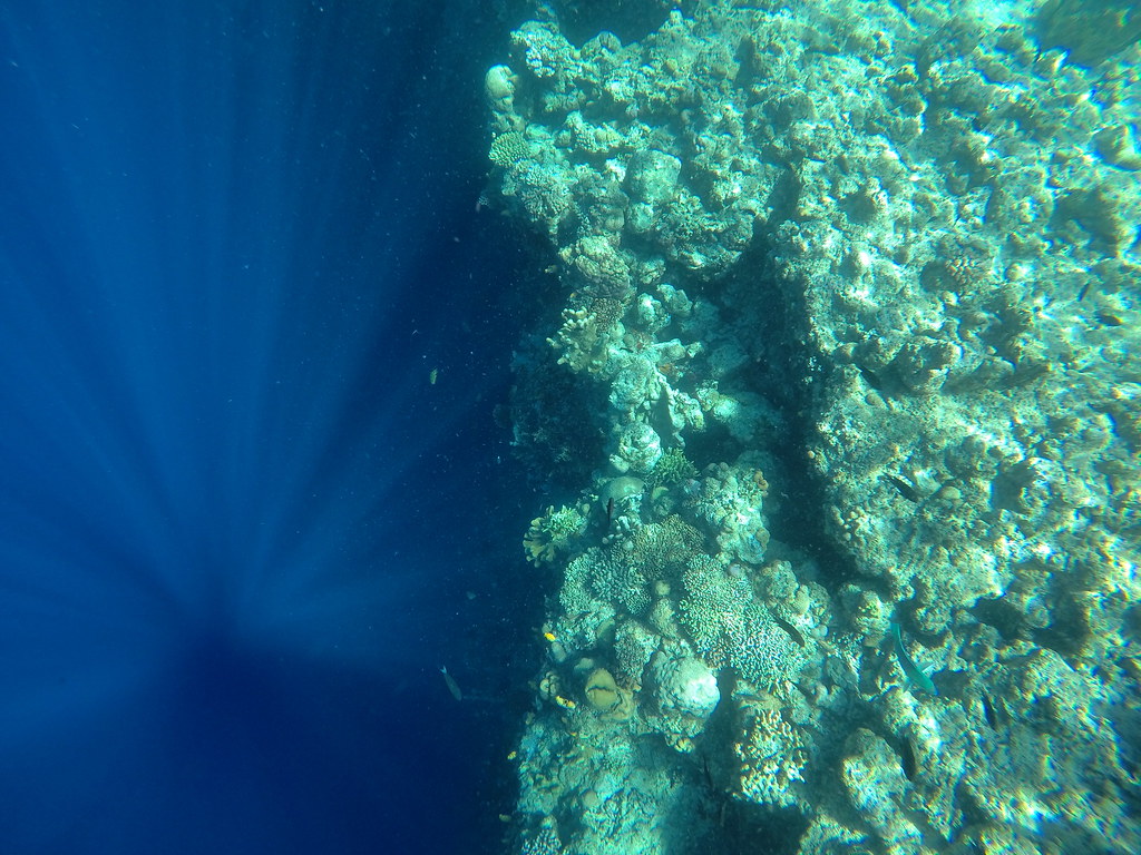 Review GoPro HERO: Harga Paling Murah, Tetap Mumpuni Untuk Rekam Video