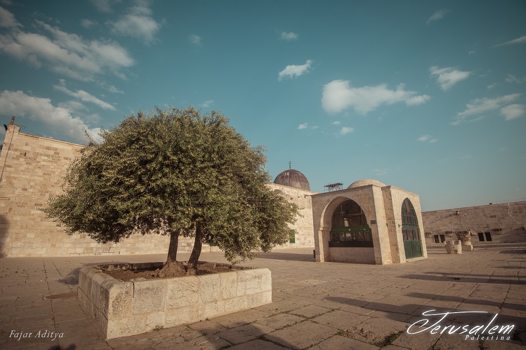 alun-alun-nikonian---part-14