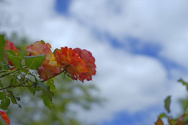 saung-lensa-manual---part-5