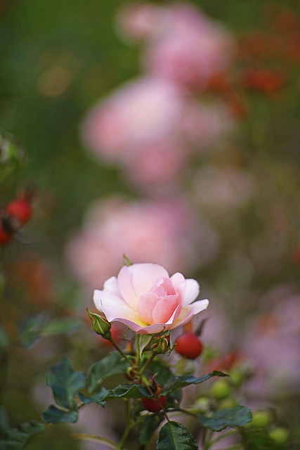 saung-lensa-manual---part-5