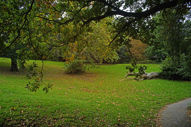 new-pendopo-sony-alpha---part-2