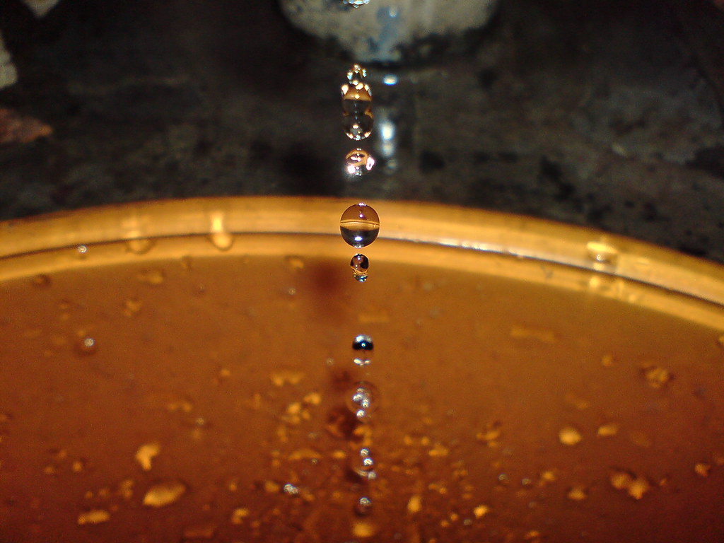 nongkrong-bareng-kamera-henpon