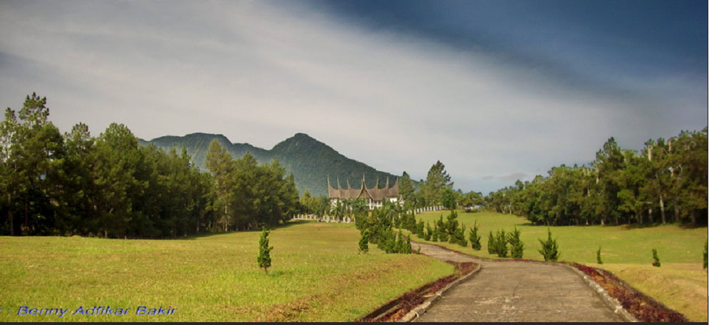 peternakan-sapi-unggul-jokowi-puji-padang-mangatehkab-50-kota-sumbar