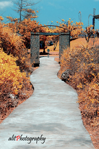 nongkrong-bareng-kritik-jujur-dan-brutal