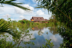 Berkunjung Taman Wisata Alam Angke Kapuk