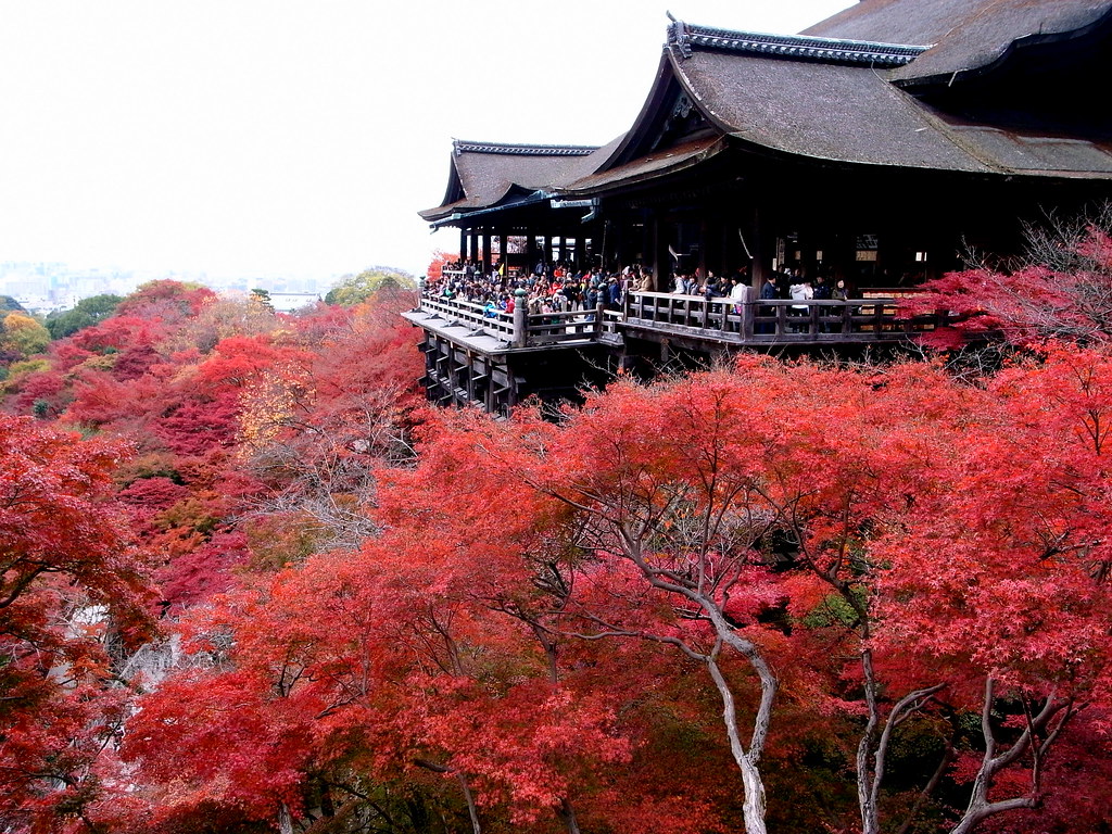 Tempat-tempat utk melihat momiji (maple tree) di Kyoto