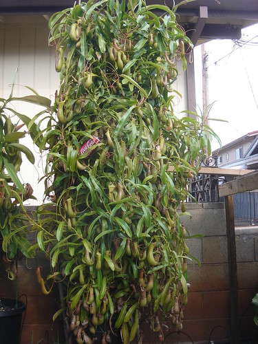post-image
