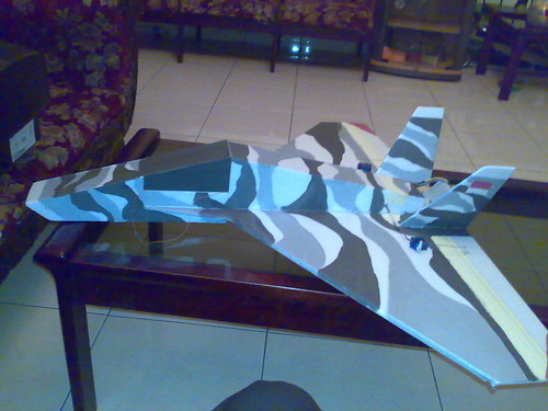 Share Koleksi homemade rc-plane...