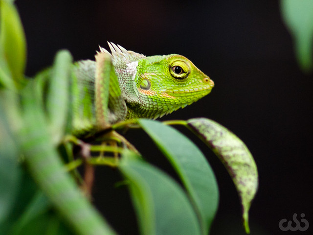 rumah-olympus---part-3