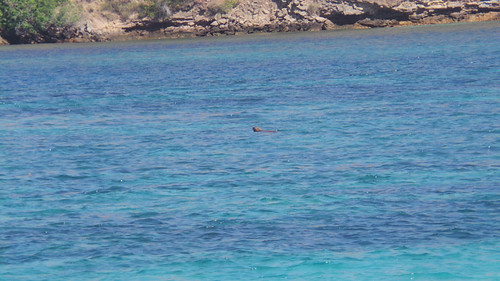 Sisi Lain Pulau Komodo