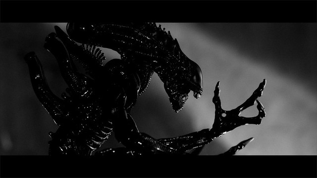 nongkrong-bareng-toy039s-photography