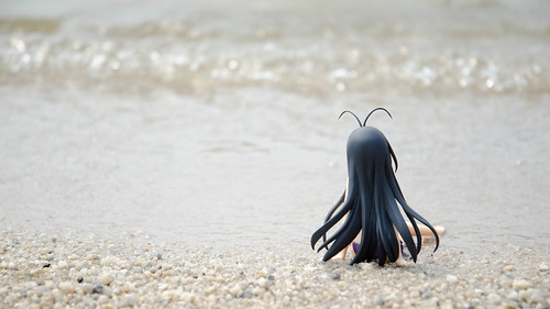 alun-alunnya-nikonian---part-11