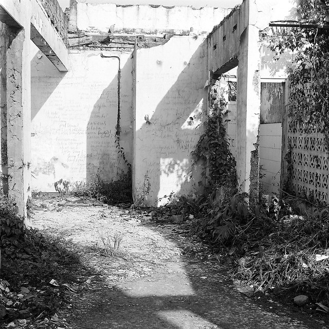 nongkrong-bareng-analog---film-camera---part-4