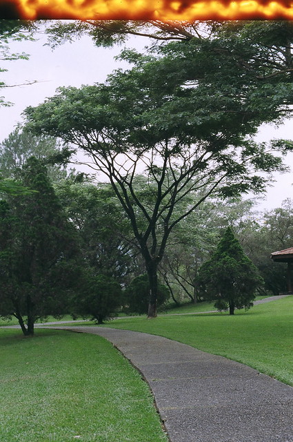post-image