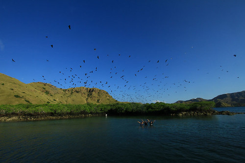 Sisi Lain Pulau Komodo