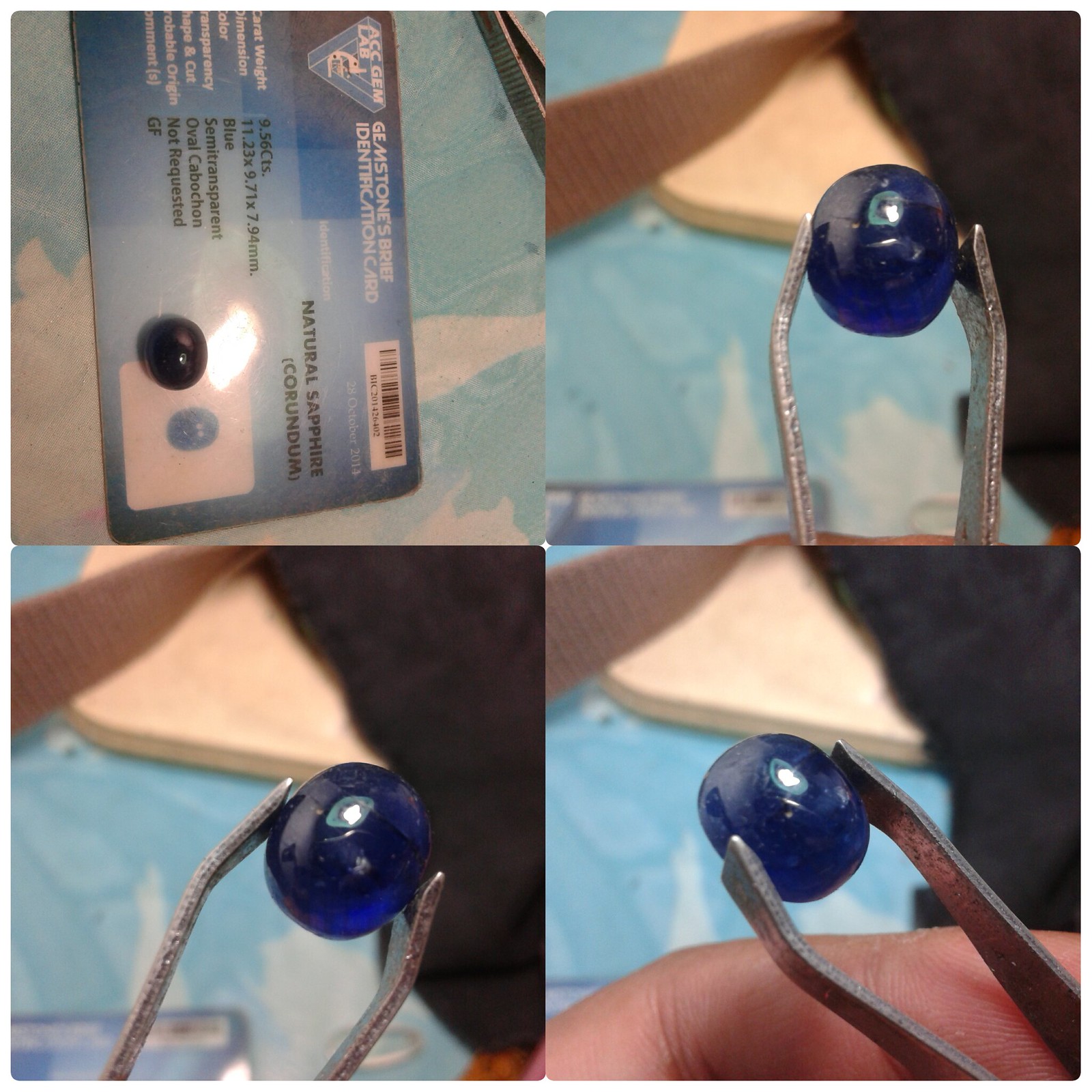 Lelang Tebar Racun (Bacan Gulao,Kalimaya Cikole,)Jilid 2 Close 16 April 2017