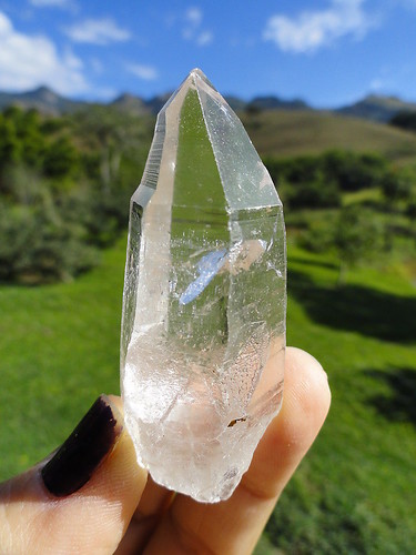 LEMURIAN ASLI BRAZIL
