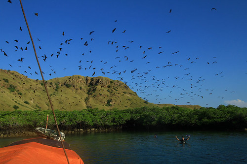 Sisi Lain Pulau Komodo