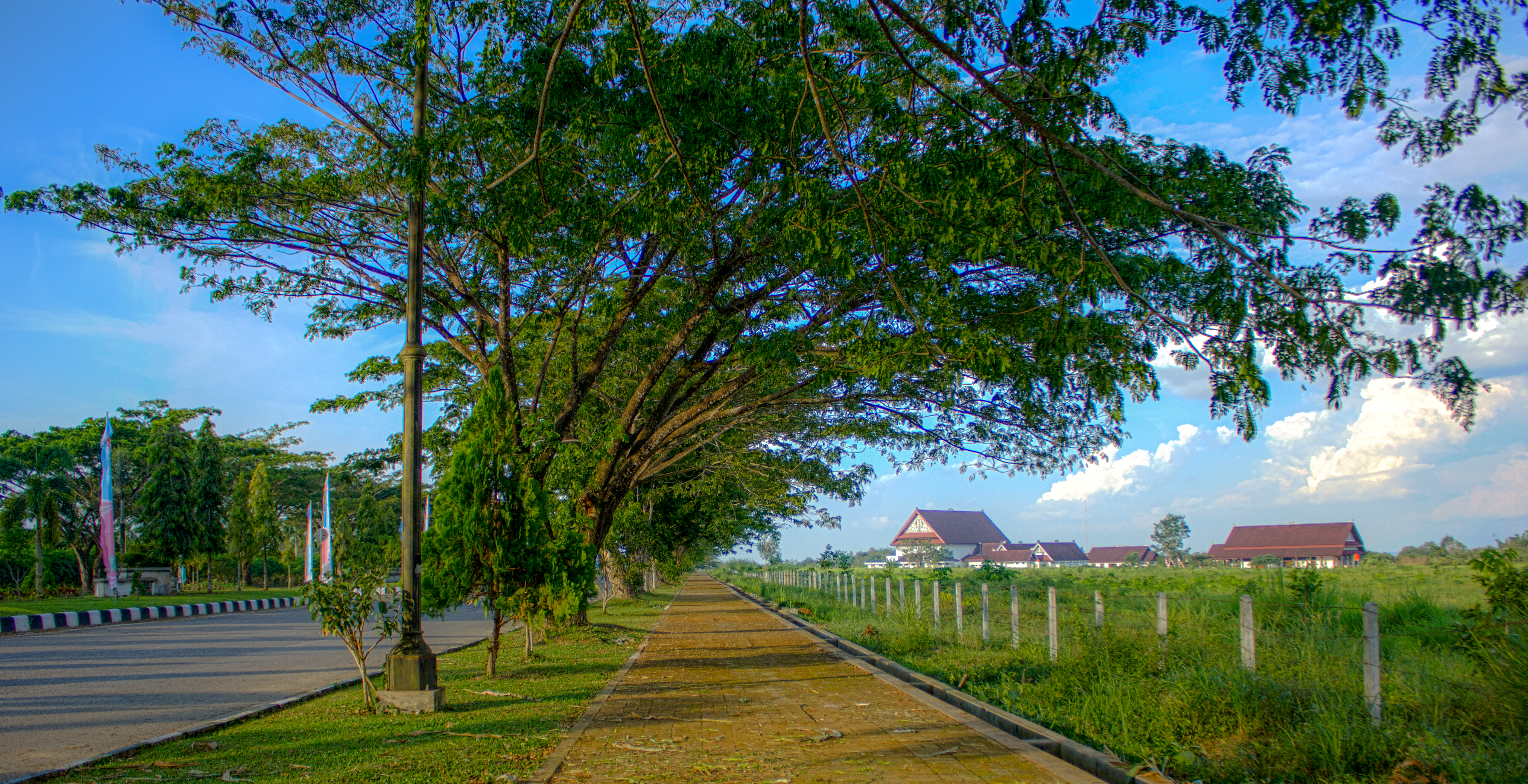 post-image