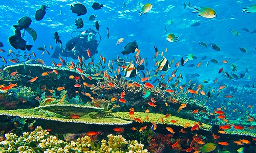 Sisi Lain Pulau Komodo