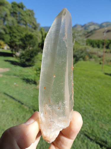 LEMURIAN ASLI BRAZIL