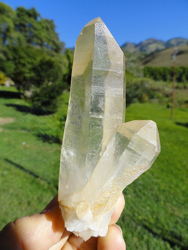 LEMURIAN ASLI BRAZIL